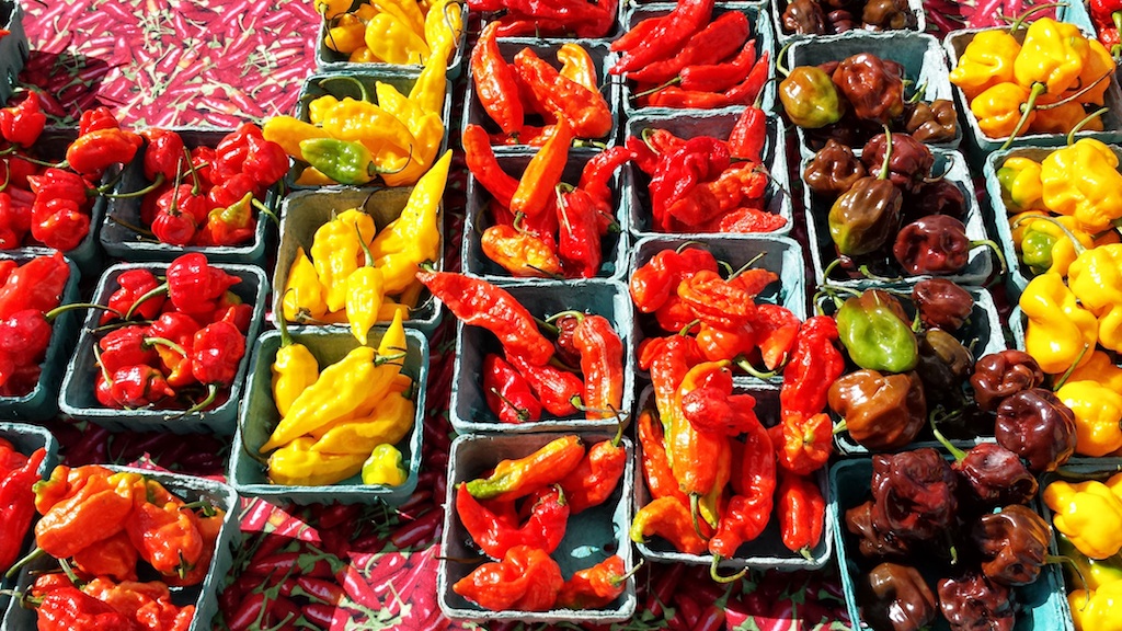 Bowers Chile Pepper Festival 2013 Video HotSauceDaily